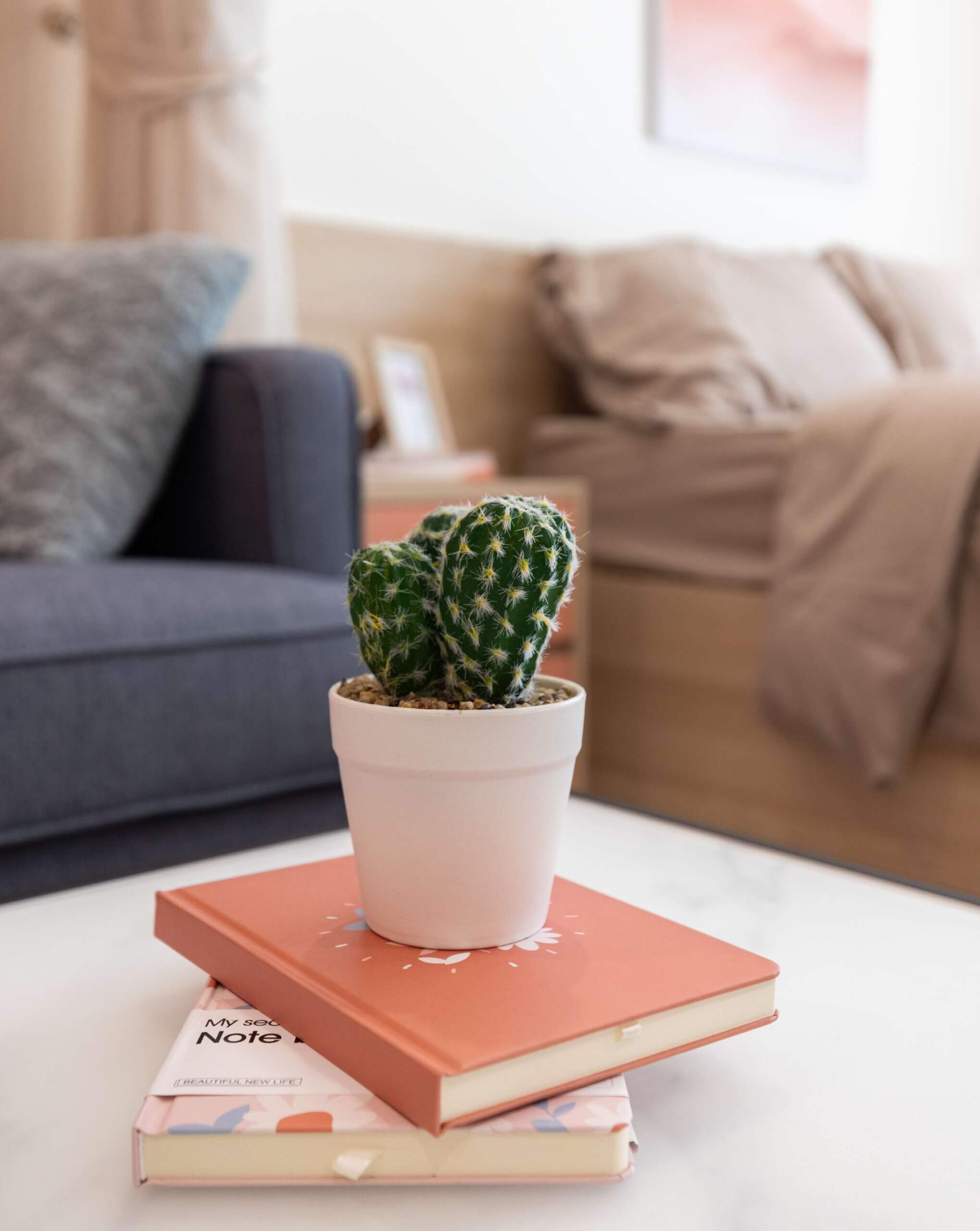 Nội thất Vinhomes Grand Park căn hộ Studio S201 ảnh 04